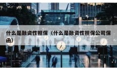 什么是融資性擔(dān)保（什么是融資性擔(dān)保公司保函）