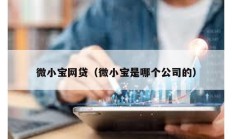 微小寶網(wǎng)貸（微小寶是哪個(gè)公司的）
