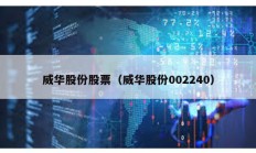 威華股份股票（威華股份002240）