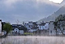 盤點「名人幣」 收割記錄：60 天 15 個代幣 跌幅幾乎均超 90%